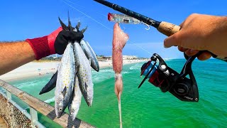 Eating Everything We Catch PIER FISHING  Squid Shark Mackerel n More [upl. by Charis]