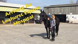 Leahurst Equine Hospital Arriving at the University of Liverpool Leahurst Campus [upl. by Retnuh181]