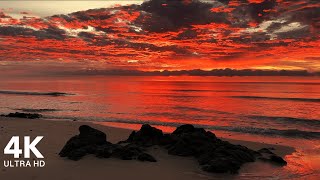 Perfect Sunrise at the Beach with Calming Sound of Waves  4K Ultra HD [upl. by Pollak]