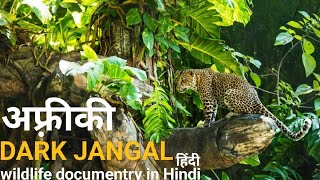 The dark jangal  हिंदी डॉक्यूमेंट्री  Africa wildlife Hindi documentry [upl. by Fred473]