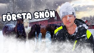 HÄSTARNA ÄR INSNÖADE 🐴 [upl. by Ael]