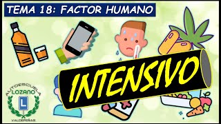 INTENSIVO PERMISO B  TEMA 18 FACTOR HUMANO [upl. by Horick928]