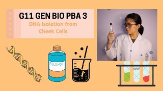 G11 GEN BIO PBA 3  DNA Isolation from Cheek Cells  Rainah Escat [upl. by Heid]