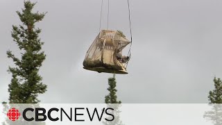 Tree planting project aims to restore caribou habitat in NWT’s Tłı̨chǫ region [upl. by Haman]