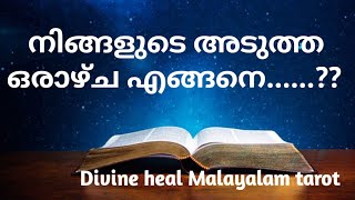 നിങ്ങളുടെ അടുത്ത ഒരാഴ്ച എങ്ങിനെ ആയിരിക്കും 🌞✨ Divineheal Malayalam Tarotreading ✨🌞 [upl. by Sayce14]