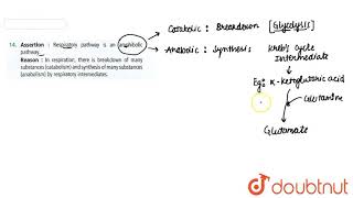 Assertion  Respiratory pathway is an amphibolic pathway Reason  In respiration there is brea [upl. by Eecyal413]