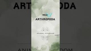 quotPhylum ARTHROPODAquot ✨ANIMAL KINGDOM biology class11 neet trending [upl. by Norel951]