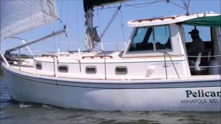 Sailing Cape Dory 30 Motorsailer SOLD Annapolis Fred Hallett light breeze nice cruising sailboat [upl. by Glassman422]