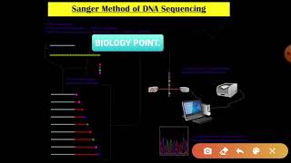 SANGER METHOD OF DNA SEQUENCING [upl. by Alburg]