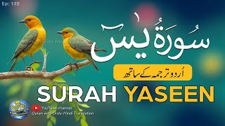 Surah Yaseen  Yasin Tarjuma ke sath  Tilawat  Episode 135  Quran with Urdu Translation [upl. by Rahmann]