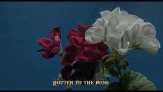 MV  Rotten Lyric Video [upl. by Scrivings615]