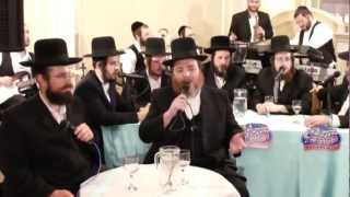 Pinky Weber Yisroel Werdyger Mezamrim Choir  Lechu Neranena [upl. by Novehs]