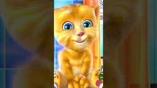 Islamic Funny cat video cat cartoon shorts dog [upl. by Liz]