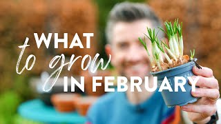 What to Plant in February  What to Grow Now [upl. by Icart226]