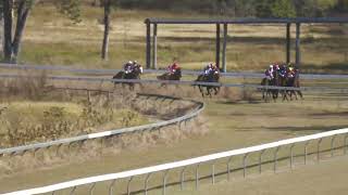 Gayndah 20240608 Race 2 [upl. by Pallaten]