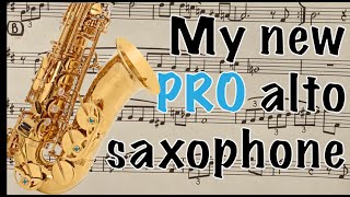 I finally got a PRO SAXOPHONE  Yanagisawa AW01 Alto  Sax amp Son [upl. by Aynat]