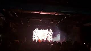 BRAIN DEAD  Live at MAMAT FEST 2023 [upl. by Fleurette]