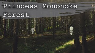 Princess Mononoke Forest  ASMR Ambience [upl. by Aivato551]