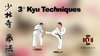 Shorinji Kempo  3 kyu techniques [upl. by Aisatsan592]