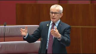 Malcolm Roberts Senator from Queensland  The quotClimate Crisisquot was started by a criminal [upl. by Bolme]