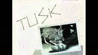 Camper Van Beethoven Tusk [upl. by Nwahsed]