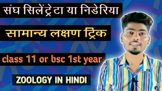 phylum coelenterata class 11  phylum coelenterata bsc 1st year in hindi [upl. by Rotceh973]