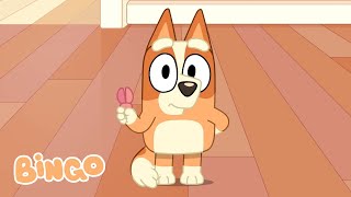 Laugh Out Loud with Bingo 😁  Adorable Bluey and Bingo Moments ✨🧡  Bingo  Official Channel [upl. by Ynnos]