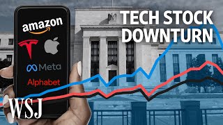 Why Are Tech Stocks Taking Such a Beating  WSJ [upl. by Cirtemed559]