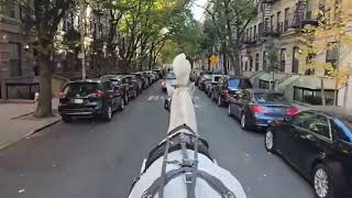 Horse Drawn Funeral Hearse in Harlem NY [upl. by Josler]