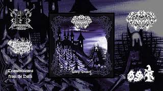 Barrow Lord  Unholy Conquest full album 2024 [upl. by Aillimac625]