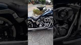 HARLEYDAVIDSON HERITAGESOFTAIL 2002 HARLEYDAVIDSON FLSTC HERITAGE SOFTAIL [upl. by Nesaj]