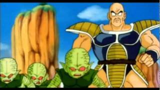 Best Nappa Moments In DBZ Abridged [upl. by Isherwood863]