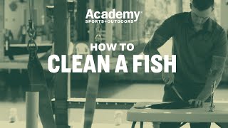 How To  Clean a Fish [upl. by Mira559]