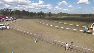 Gayndah 20241012 Race 2 [upl. by Nitin963]