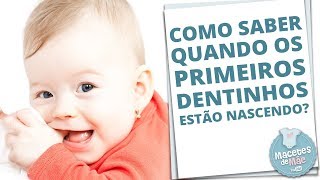 NASCIMENTO DOS PRIMEIROS DENTINHOS TUDO O QUE VOCÊ PRECISA SABER  MACETES DE MÃE [upl. by Ynove]