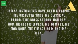 What Is The Largest And Lowest Pitched Brass Instrument [upl. by Sallyann368]