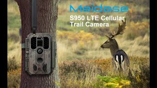 Meidase S950 Cellular Trail Camera Review The Ultimate Game Changer [upl. by Nageek]