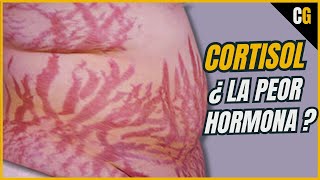 Cortisol  ¿La PEOR Hormona de Todas  Síndrome de CUSHING y Efectos del CORTISOL Estrés 22 [upl. by Anneis89]