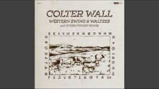 Colter Walls Cowpoke But Its Instrumental And Perfectly Looped [upl. by Ayotl]