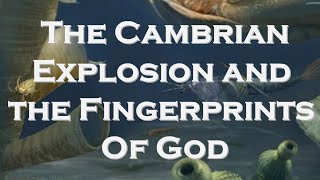 The Cambrian Explosion and the Fingerprints of God [upl. by Boni]