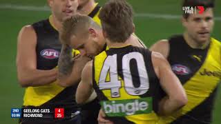 Qualifying Final 2  Geelong v Richmond Highlights [upl. by Noreh389]