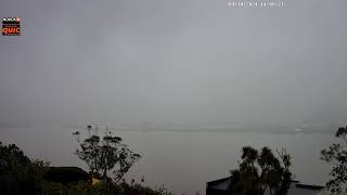 Dunedin NZ  Live Webcam 4K 04102024 0300 to 1459 [upl. by Nizam]