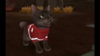 Catz movie walkthrough part 18 [upl. by Eilsil]