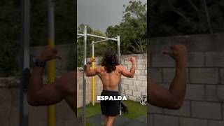 Saca front lever y deja de ser un pendejo calistenics gym calistenia streetworkout fitness [upl. by Maleen]