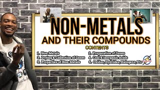 NonMetals amp Their Compounds  Detailed Explanations [upl. by Reace]