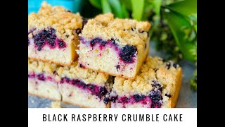 🇺🇸Black Raspberry Crumble Cake🖤 🇫🇷Crumble Cake aux Framboises Noires🍰 [upl. by Afnin]