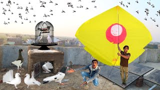 Kite Flying amp Buy New Kabooter Nasir [upl. by Leinoto]