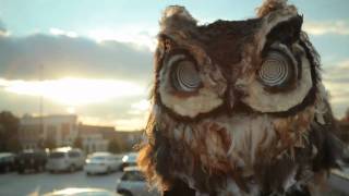 adult swim Owls Parking Lot Stare [upl. by Drus]