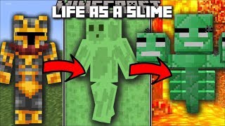 Minecraft LIFE AS A SLIME MOD  FIGHT AND SURVIVE THE PARKOUR RACE TO WIN AS A SLIME Minecraft [upl. by Anaujat]