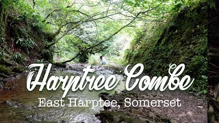 Harptree Combe  Viaduct Brook and Ruins  HD 1080p [upl. by Ogaitnas]